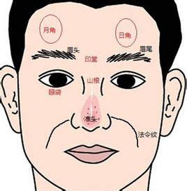 額頭日月角凸起|【日月角 面相】你的命運藏在日月角？拆解面相中的「日月角」！